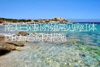 南美白对虾养殖常见病红体病的综合预防措施