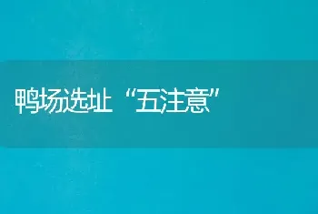 鸭场选址“五注意”