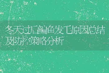 冬天过后鳊鱼发毛原因总结及防控策略分析