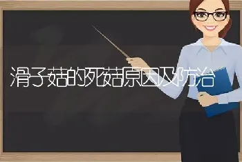 怀孕前期母羊的饲养管理要点