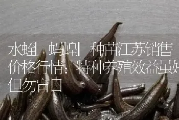 水蛭[蚂蝗]种苗江苏销售价格行情：特种养殖效益虽好但勿盲目