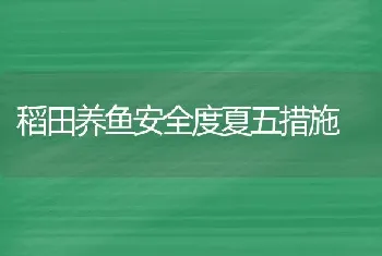 稻田养鱼安全度夏五措施