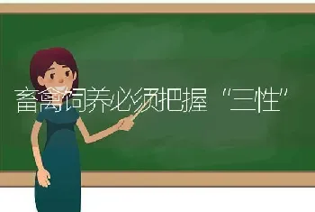 畜禽饲养必须把握“三性”