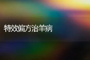 特效偏方治羊病