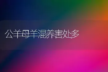 公羊母羊混养害处多