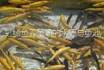 虹鳟鱼养殖场的水源与鱼池