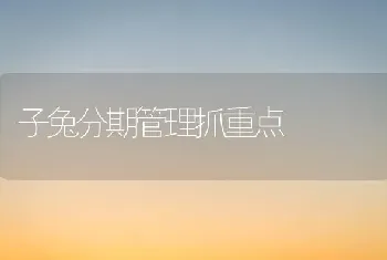 子兔分期管理抓重点