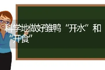 科学地做好雏鸭“开水”和“开食”