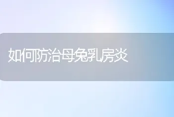 如何防治母兔乳房炎