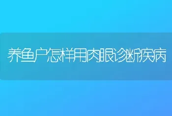 养鱼户怎样用肉眼诊断疾病