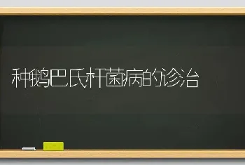 种鹅巴氏杆菌病的诊治