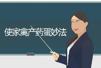 使家禽产药蛋妙法