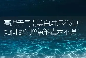 高温天气南美白对虾养殖户如何做到增氧解毒两不误