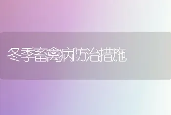 冬季畜禽病防治措施