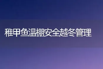 稚甲鱼温棚安全越冬管理