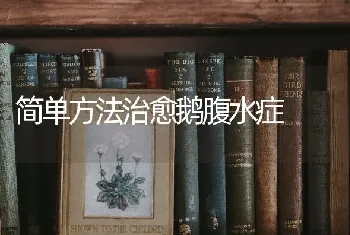 简单方法治愈鹅腹水症