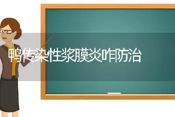 鸭传染性浆膜炎咋防治