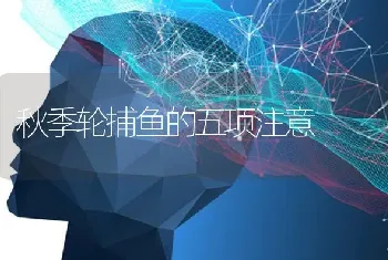 秋季轮捕鱼的五项注意