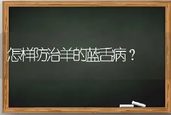 怎样防治羊的蓝舌病?