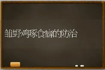 雏野鸡啄食癖的防治