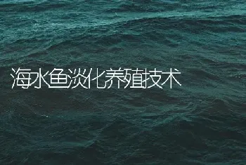 海水鱼淡化养殖技术