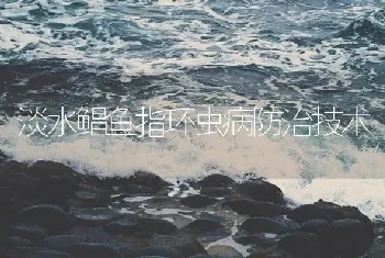 淡水鲳鱼指环虫病防治技术