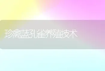 珍禽蓝孔雀养殖技术