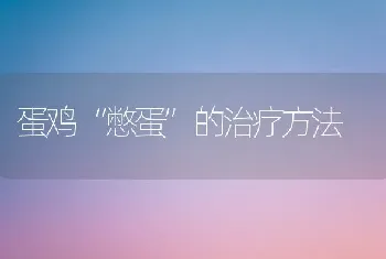 蛋鸡“憋蛋”的治疗方法