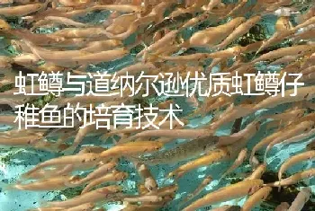 虹鳟与道纳尔逊优质虹鳟仔稚鱼的培育技术