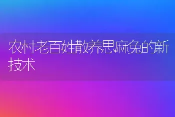 农村老百姓散养思麻兔的新技术