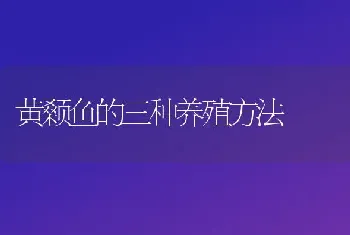 黄颡鱼的三种养殖方法