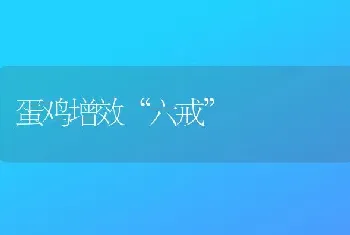 蛋鸡增效“六戒”