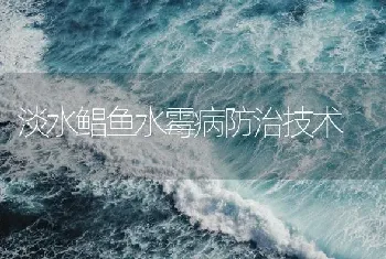 淡水鲳鱼水霉病防治技术