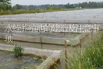 水蛭养殖池的建造及注意事项