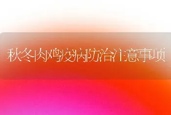 秋冬肉鸡疫病防治注意事项