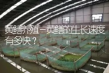 黄鳝养殖－黄鳝的生长速度有多快?