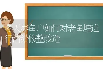 冬天养鱼户如何对老鱼塘进行清淤修整改造