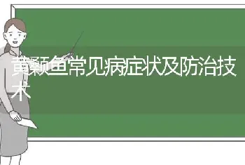 黄颡鱼常见病症状及防治技术