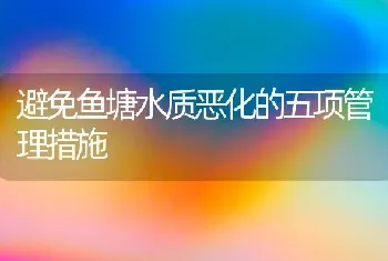 避免鱼塘水质恶化的五项管理措施