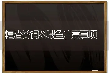 糟渣类饲料喂鱼注意事项