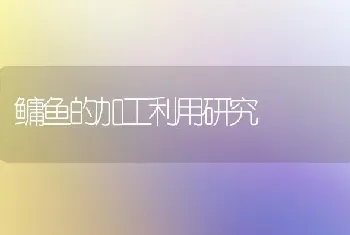 鳙鱼的加工利用研究